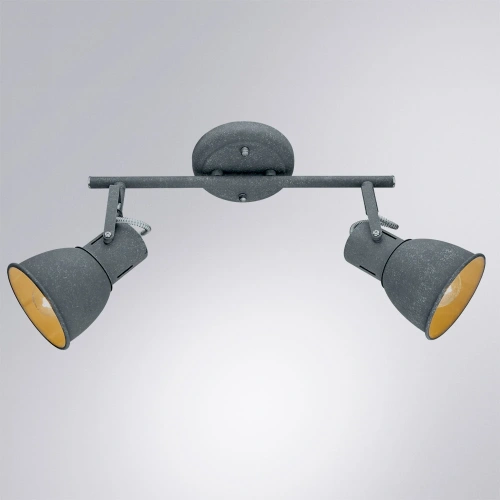 Спот Arte Lamp JOVI A1677PL-2GY фото 2