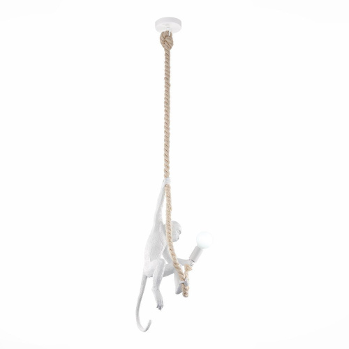 Подвесной светильник Evoluce Tenato SLE115103-01 Подвесной светильник Evoluce Tenato SLE115103-01