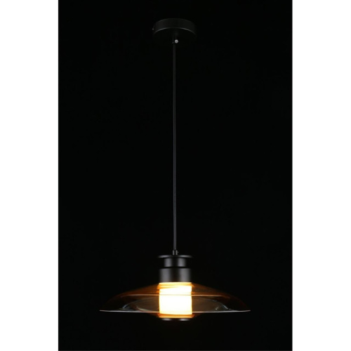 Светильник подвесной APL.648.16.10 фото 12