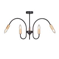 Потолочная люстра Vitaluce V3026-1/6PL