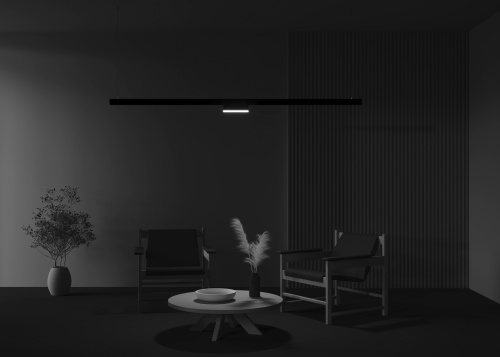 Трековый светильник Technical TR036-2-12W4K-B фото 2