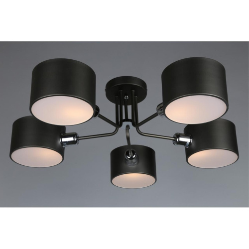 Люстра потолочная OML-54507-05 фото 5