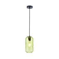 Подвесной светильник Escada 10177/1S E27*60W Black/Green