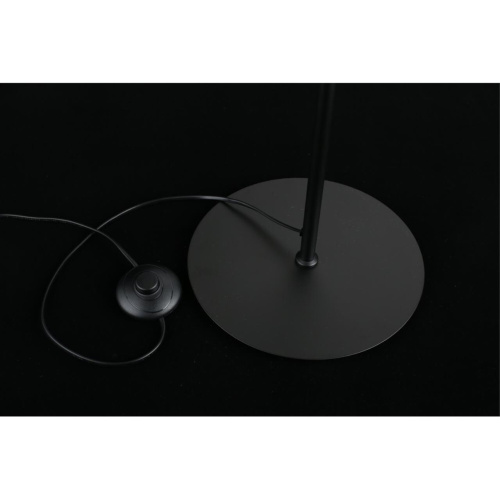 Торшер APL.312.05.04 фото 14 Торшер APL.312.05.04 фото 14