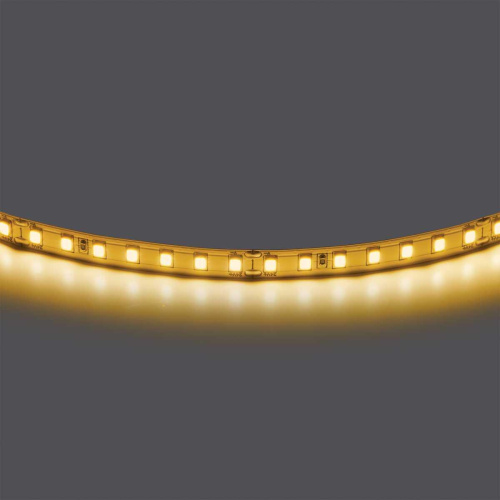 Лента двухсторонняя 24V Lightstar  420843