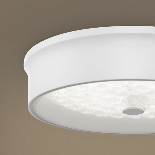 Потолочный светильник Freya FR10011CL-L24W фото 19 Потолочный светильник Freya FR10011CL-L24W фото 19