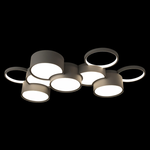 10317/9 Grey Потолочный светильник LOFT IT Pin фото 2