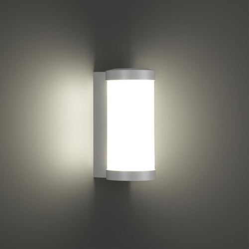 359299 STREET NT24 776 белый Светильник ландшафтный настенный IP65 LED 6W 4000K 180-265V OPAL фото 5 359299 STREET NT24 776 белый Светильник ландшафтный настенный IP65 LED 6W 4000K 180-265V OPAL фото 5