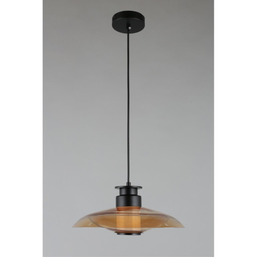 Светильник подвесной APL.648.16.10 фото 15