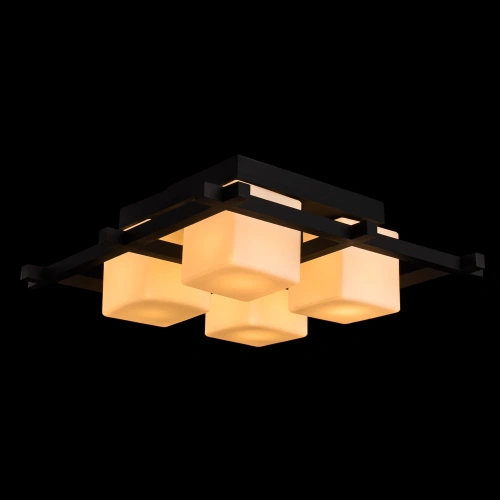 Потолочная люстра Arte Lamp WOODS A8252PL-4CK фото 2