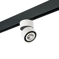 Комплект с трековым светильником Lightstar Forte Muro (595061+214816) PRO214816