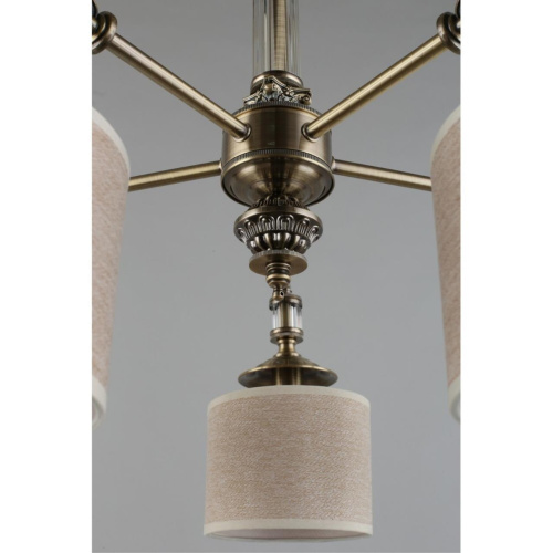 Люстра потолочная OML-64307-05 фото 11