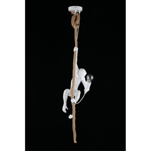 Светильник подвесной APL.309.06.01 фото 10 Светильник подвесной APL.309.06.01 фото 10