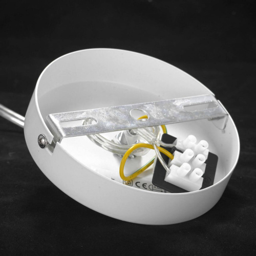 Подвесной светильник Lussole Lgo Bossier LSP-8274 фото 9 Подвесной светильник Lussole Lgo Bossier LSP-8274 фото 9