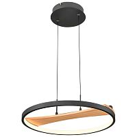 Подвесной светодиодный светильник Velante 450-043-01