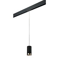 Комплект с трековым светильником Lightstar Rullo (214437+595857+203431) PRORP437431