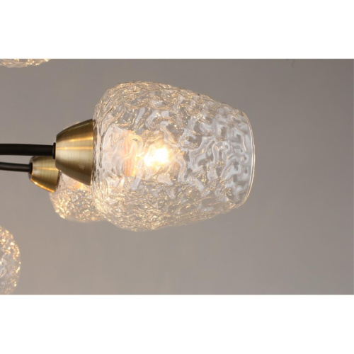 Люстра потолочная OML-67807-08 фото 6