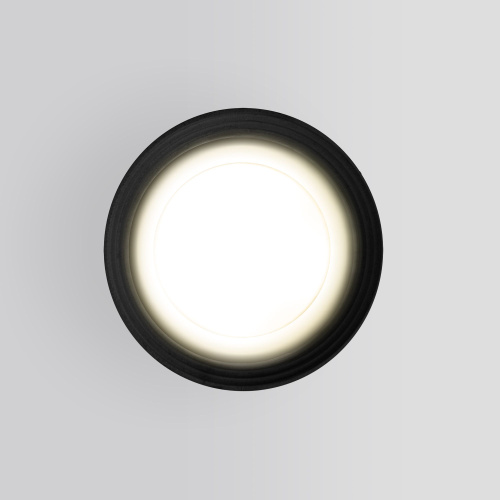 Уличный потолочный светильник Light IP65 35128/H черный фото 3 Уличный потолочный светильник Light IP65 35128/H черный фото 3