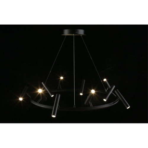 Люстра подвесная APL.067.03.50 фото 11