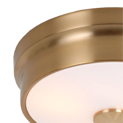 Потолочный светильник Favourite Pannikin 2375-2C фото 7