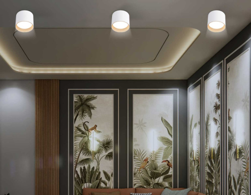 Светильник накладной Ambrella Light TN5304 фото 5