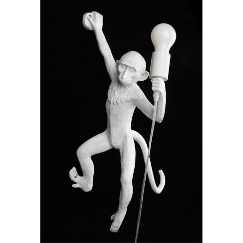 Светильник настенный (Бра) APL.309.11.01 фото 10 Светильник настенный (Бра) APL.309.11.01 фото 10