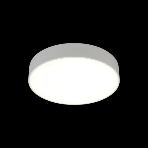 Светильник настенно-потолочный APL.0114.09.24 фото 9 Светильник настенно-потолочный APL.0114.09.24 фото 9