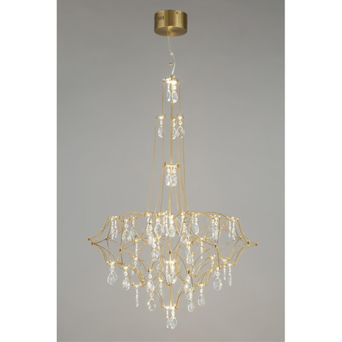 Люстра подвесная OML-95713-60 фото 7