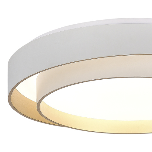 SLE6009-502-01 Светильник потолочный Белый/Белый LED 1*50W 3000K/4000K/6000K CROSBY фото 4