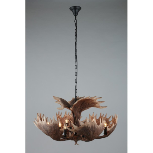 Люстра подвесная OML-52203-12 фото 5 Люстра подвесная OML-52203-12 фото 5