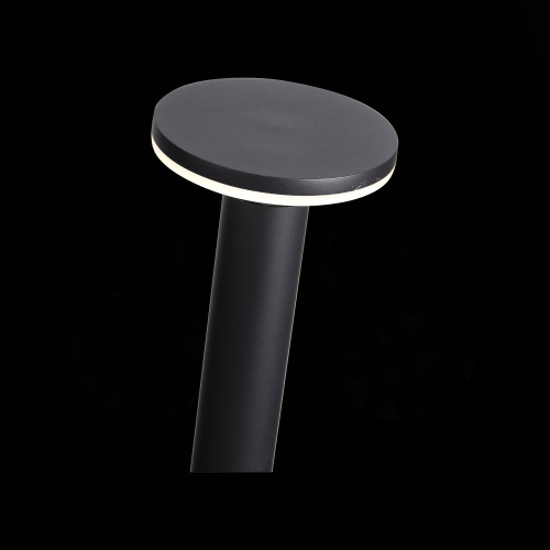 SL087.415.01 Светильник уличный наземный ST-Luce Черный кварцевый LED 1*12W 4000K CONTARIO фото 4