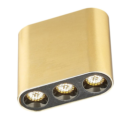 7093/8CL HIGHTECH ODL25 335 Потолочный светильник бронзовый/металл/акрил IP20 LED 5W 380Лм 3000K 220V SMALL фото 4 7093/8CL HIGHTECH ODL25 335 Потолочный светильник бронзовый/металл/акрил IP20 LED 5W 380Лм 3000K 220V SMALL фото 4