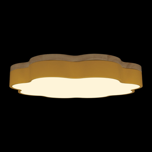 10225/36 Yellow Потолочный светильник LOFT IT Axel фото 4