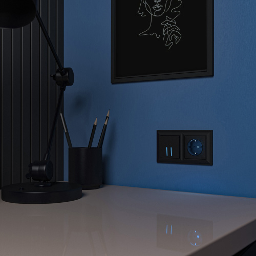 Розетка с подсветкой (черный матовый) W1171408 фото 6 Розетка с подсветкой (черный матовый) W1171408 фото 6