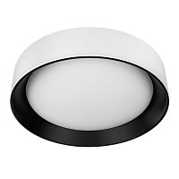 10202 WB  Потолочный светильник  LOFT IT Coin