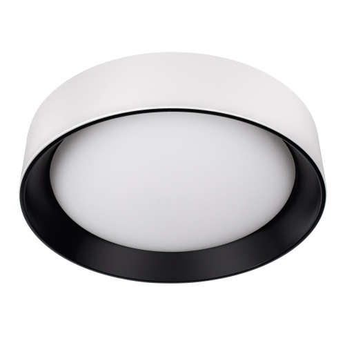 10202 WB  Потолочный светильник  LOFT IT Coin