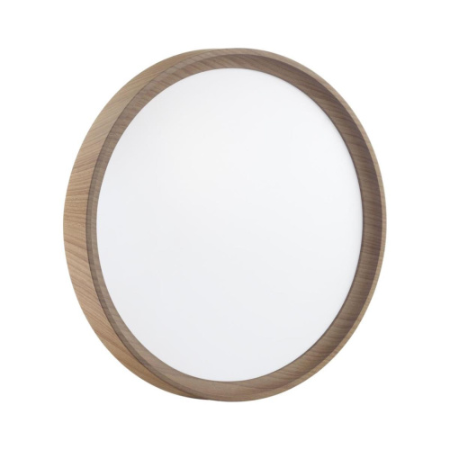 Настенно-потолочный светильник Sonex WOODI 7603/ELN