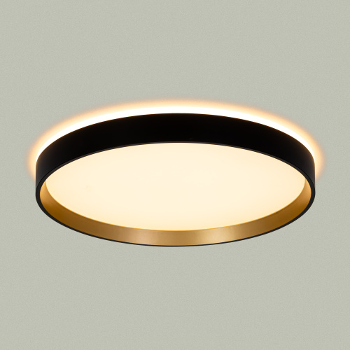 Citilux ETALON CL750321R LED RGB Светильник с пультом Чёрный+Золото фото 6 Citilux ETALON CL750321R LED RGB Светильник с пультом Чёрный+Золото фото 6
