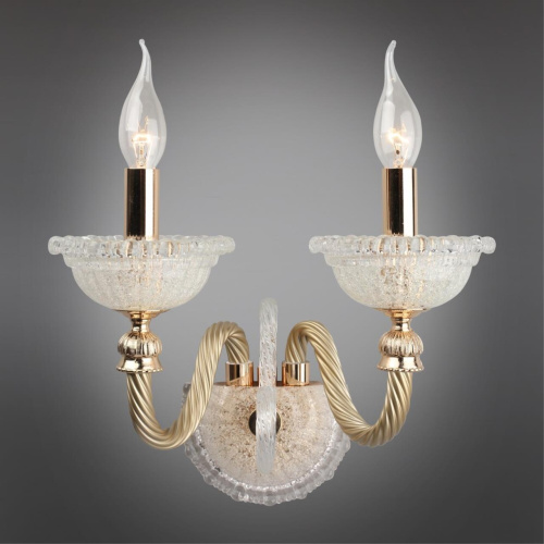 Светильник настенный (Бра) OML-88301-02 фото 2 Светильник настенный (Бра) OML-88301-02 фото 2