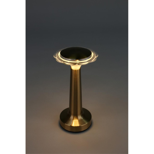 Настольная лампа OML-40204-01 фото 10