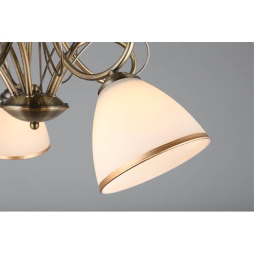 Люстра потолочная OML-25307-05 фото 6 Люстра потолочная OML-25307-05 фото 6