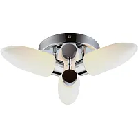 Потолочная люстра Arte Lamp AQUA A9502PL-3CC
