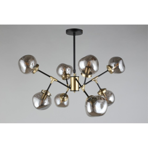 Люстра потолочная OML-95207-08 фото 5 Люстра потолочная OML-95207-08 фото 5
