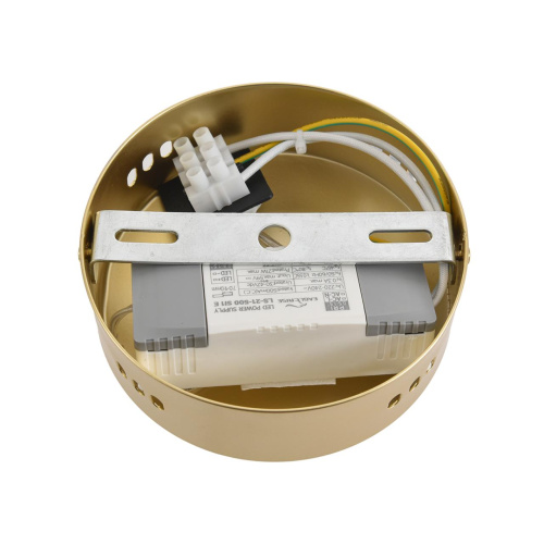 8259/15WCL LEDIO LN26 280 золото/амбер, металл/акрил/стекло Бра/подвес LED 15W 4000К 220V TRENDY фото 5 8259/15WCL LEDIO LN26 280 золото/амбер, металл/акрил/стекло Бра/подвес LED 15W 4000К 220V TRENDY фото 5