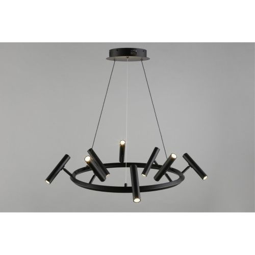 Люстра подвесная APL.067.03.40 фото 6 Люстра подвесная APL.067.03.40 фото 6