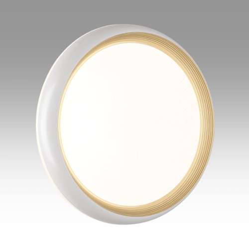7650/DL PALE SN 141 Светильник пластик/белый/золотой LED 48Вт 4000К D380 IP43 TOFIQ WHITE фото 5 7650/DL PALE SN 141 Светильник пластик/белый/золотой LED 48Вт 4000К D380 IP43 TOFIQ WHITE фото 5
