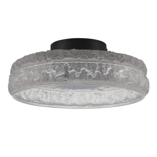 SL6143.402.01 Светильник потолочный ST-Luce черный/прозрачный LED 1*15W 4000K ANTIKE фото 5