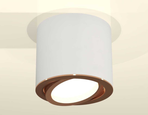 Комплект накладного светильника Ambrella light Techno Spot XS7401005 SWH/PPG белый песок/золото розовое полированное (C7401, N7005) фото 4