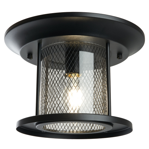 Светильник садово-парковый Feron PL723 на потолок  60W E27 230V, черный