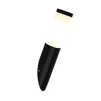 Настенный светильник Escada 30012W/01 E27*25W IP44 Black